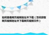 如何查看网页视频地址并下载（怎样获取网页视频地址并下载网页视频文件）