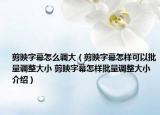 剪映字幕怎么调大（剪映字幕怎样可以批量调整大小 剪映字幕怎样批量调整大小介绍）