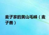 麦子家的黄山毛峰（麦子善）