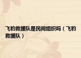 飞豹救援队是民间组织吗（飞豹救援队）