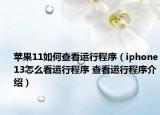苹果11如何查看运行程序（iphone13怎么看运行程序 查看运行程序介绍）