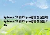iphone 11和11 pro有什么区别啊 iphone 11和11 pro有什么区别介绍