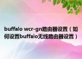 buffalo wcr-gn路由器设置（如何设置buffalo无线路由器设置）