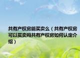 共有产权房能买卖么（共有产权房可以买卖吗共有产权房如何认定介绍）