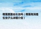 榴莲里面会长虫吗（榴莲有洞是生虫子么详细介绍）