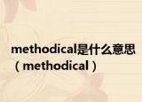 methodical是什么意思（methodical）