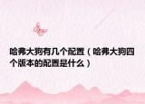 哈弗大狗有几个配置（哈弗大狗四个版本的配置是什么）