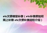 etc欠费哪里补缴（etc补缴费如何网上补缴 etc欠费补缴流程介绍）