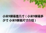 小米9屏幕是几寸（小米9屏幕多少寸 小米9屏幕尺寸介绍）
