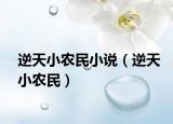 逆天小农民小说（逆天小农民）