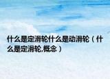 什么是定滑轮什么是动滑轮（什么是定滑轮,概念）