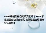 excel表格怎样自动填充公式（excel怎么设置自动填充公式 如何设置自动填充公式介绍）