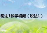 税法1教学视频（税法1）