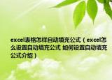 excel表格怎样自动填充公式（excel怎么设置自动填充公式 如何设置自动填充公式介绍）