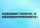 羊肚菌没煮熟吃了会拉肚子吗（羊肚菌没煮熟能吃吗有毒吗详细介绍）