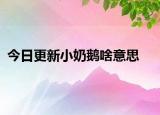 今日更新小奶鹅啥意思