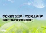 农行k宝怎么登录（农行网上银行K宝用户首次登录如何操作）