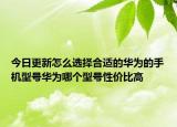 今日更新怎么选择合适的华为的手机型号华为哪个型号性价比高