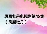 凤凰牡丹电视剧第45集（凤凰牡丹）