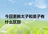 今日更新太子和皇子有什么区别