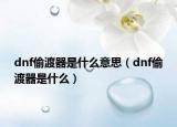 dnf偷渡器是什么意思（dnf偷渡器是什么）