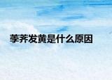 荸荠发黄是什么原因