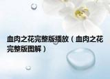 血肉之花完整版播放（血肉之花完整版图解）