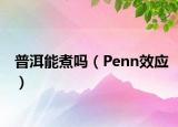 普洱能煮吗（Penn效应）