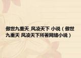 傲世九重天_风凌天下 小说（傲世九重天 风凌天下所著网络小说）