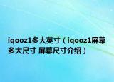iqooz1多大英寸（iqooz1屏幕多大尺寸 屏幕尺寸介绍）