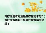 青柠檬泡水好还是黄柠檬泡水好?（青柠檬泡水好还是黄柠檬好详细介绍）