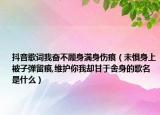 抖音歌词我奋不顾身满身伤痕（未惧身上被子弹留痕,维护你我却甘于舍身的歌名是什么）