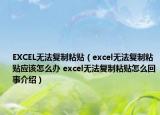 EXCEL无法复制粘贴（excel无法复制粘贴应该怎么办 excel无法复制粘贴怎么回事介绍）
