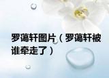 罗蔼轩图片（罗蔼轩被谁牵走了）