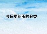 今日更新玉的分类