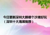 今日更新深圳大鹏哪个沙滩好玩（深圳十大海滩推荐）