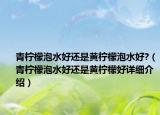 青柠檬泡水好还是黄柠檬泡水好?（青柠檬泡水好还是黄柠檬好详细介绍）
