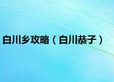 白川乡攻略（白川恭子）