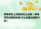 苹果手机上应用锁怎么设置（苹果手机应用锁在哪 怎么设置应用锁介绍）