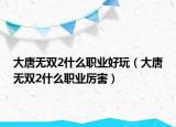 大唐无双2什么职业好玩（大唐无双2什么职业厉害）