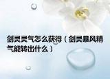 剑灵灵气怎么获得（剑灵暴风精气能转出什么）