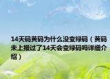 14天码黄码为什么没变绿码（黄码未上报过了14天会变绿码吗详细介绍）
