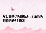 今日更新小狗翻肠子（引起狗狗翻肠子的4个原因）