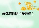 爱死你原唱（爱死你）