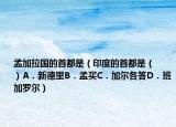 孟加拉国的首都是（印度的首都是（　　）A．新德里B．孟买C．加尔各答D．班加罗尔）
