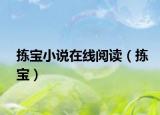 拣宝小说在线阅读（拣宝）