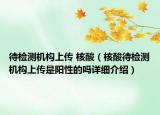 待检测机构上传 核酸（核酸待检测机构上传是阳性的吗详细介绍）