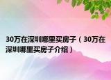 30万在深圳哪里买房子（30万在深圳哪里买房子介绍）