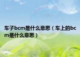 车子bcm是什么意思（车上的bcm是什么意思）
