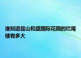 谁知道昆山和盛国际花园的烂尾楼有多大
